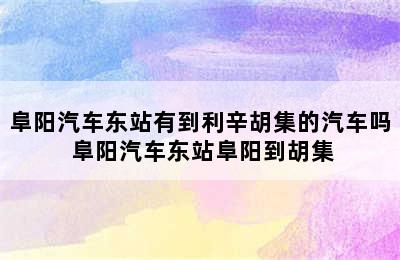 阜阳汽车东站有到利辛胡集的汽车吗 阜阳汽车东站阜阳到胡集